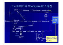 [발효공학] Coenzyme Q10의 고생산 균주를 개량하기 위한 방법-7