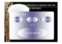 [정부규제론] 8 31 정책을 중심으로 본 참여정부의 부동산 정책-7