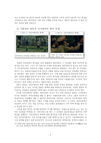 [한국문학비평론] 파농의 저서를 통해 분석한 영화 `보리밭을 흔드는 바람`-8