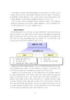 [마케팅] N세대 친구 SONY(소니) 만들기 분석-19