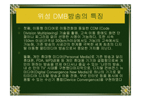 [정보 시스템론] DMB-8