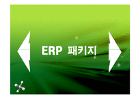 ERP 패키지 레포트-2