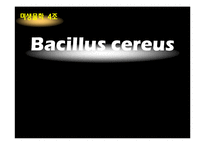 [미생물학] Bacillus cereus 미생물-1