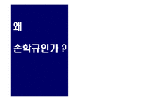 [매체기획론] 손학규 대선 매체기획-4