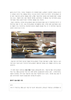 [도시정책] 서울시와 독거노인 빈곤 문제-17