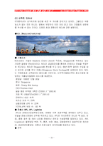 [국제경영] STX팬오션(STX Pan Ocean) 싱가폴 해외진출전략-19