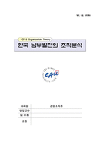 [경영조직론] 한국 남부발전의 조직분석-1