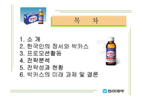 [마케팅] 한국인의 정서를 이용한 마케팅 성공사례 -동아제약 박카스-2