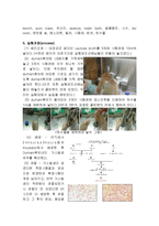 [식품위생학] 낙하균(공기중에 부유하고 있는 미생물) 측정-12