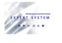[경영정보] ES 전문가 시스템-1