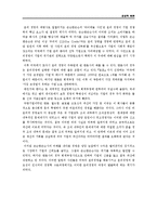 [경영학] 한미일 윤리경영 레포트(23)-6