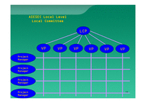 삼성전자 기업 조직 구조 사례-16