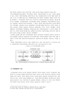 [지방행정] 한국 자치경찰제도의 발전 방안에 관한 연구-17