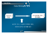 [경영] Data Mining의 성공요인 및 문제점-3