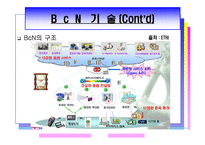 광대역 통합망(BcN)의 현재문제점 및 발전전망-10
