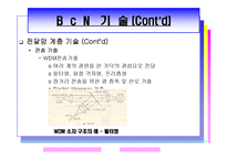 광대역 통합망(BcN)의 현재문제점 및 발전전망-20