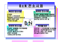 광대역 통합망(BCN) 기술-5