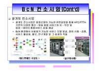 광대역 통합망(BCN) 기술-7