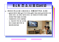 광대역 통합망(BCN) 기술-11