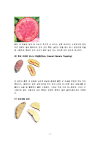 [식품학, 식품영양학] 감자의 특징과 효능 및 영양성분(식품학)-6