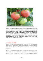 [식품학, 식품영양학] 토마토의 특징과 효능 및 영양성분(식품학)-2