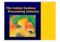 [글로벌경영론] Indian Cashew-1