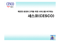[국제마케팅] CESCO 세스코 중국시장 진출 성공 요인-1