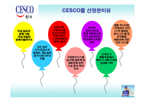 [국제마케팅] CESCO 세스코 중국시장 진출 성공 요인-3
