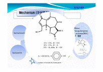 [생명공학] 상추의 Lactucarium 성분을 이용한 수면보조제 개발-10
