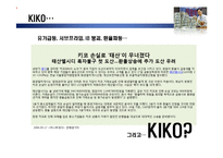 [회계학] 키코 kiko와 약관규제에 관한 법률-3