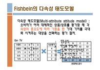 [소비자행동론] 피시바인(fishbein) 태도모델-5