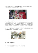 [도시관광론] 서울시 관광 활성화 방안(대학로 공연문화를 중심으로)-14