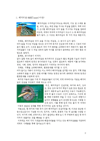 [운송론] 세계 해저터널의 현황과 활용방안-2