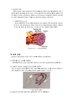 [학사] [생체계측 실험] 생체계측실험 보고서 lesson 1 EMG 1-3