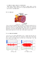 [생체계측 실험] 생체계측실험 보고서 lesson 2  ELECTROMYOGRAPHY II-8