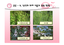 [복원생태학] 남산&한강의 외래식물-14