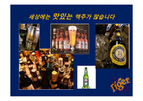 [광고홍보론] 타이거 맥주 Tiger Beer 온라인 PR 방안-1