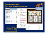 [광고홍보론] 타이거 맥주 Tiger Beer 온라인 PR 방안-9