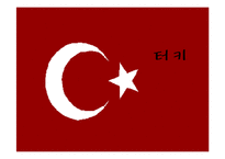 [정치발전론] 터키-1