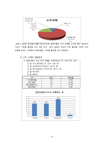 [사회조사분석] 일본인 관광객 증가에 따른 화장품 시장조사-16
