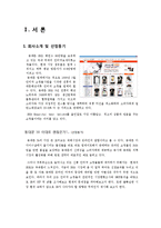 [인터넷마케팅] 동대문 3B 패션쇼핑몰 인터넷마케팅-2