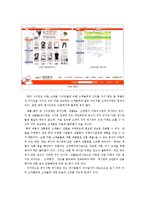 [인터넷마케팅] 동대문 3B 패션쇼핑몰 인터넷마케팅-14