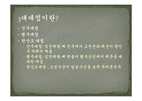 [한국문화사] 조선시대 대표적 전쟁무기 -냉병기와 화기 중심으로-4