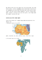 [무역환경론] 아프리카의 무역환경-4