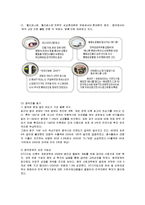 [마케팅] 애니콜의 중국 시장 진출 마케팅 분석-3