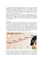 [마케팅] 애니콜의 중국 시장 진출 마케팅 분석-14