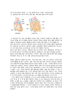 [의학] 심장병의 치료와 예방00-6
