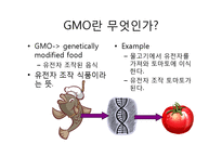 GMO(Genetically Modified Food)에관한 문제점 분석-2