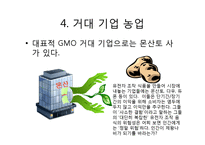 GMO(Genetically Modified Food)에관한 문제점 분석-10