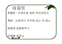 [한국어] 매체에 따른 광고 언어의 특징- 아파트 보험-12